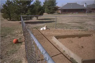 small_9302 1028 china etcImg0088.webp